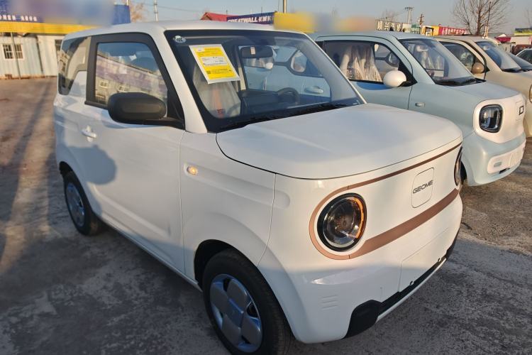 Used  Panda 2024 Panda Mini 200km Endurance Bear