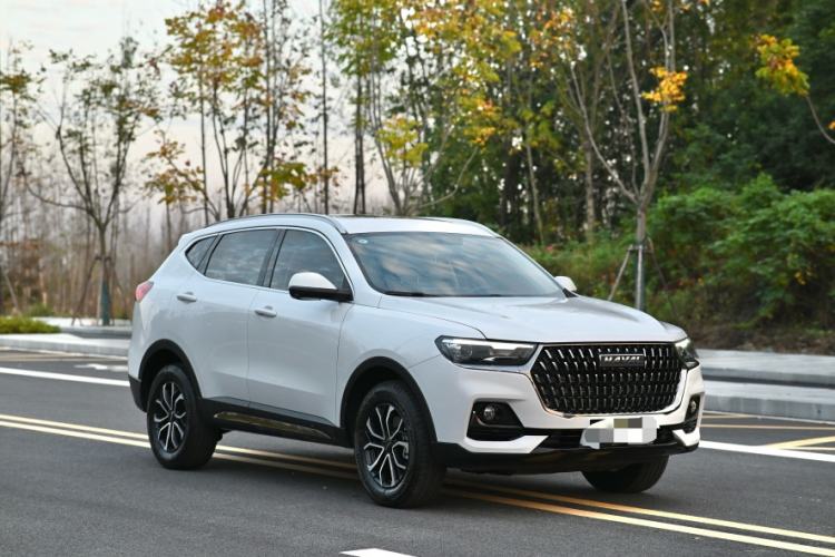 Used Haval H6 2023 National Trend Edition 1.5T Automatic Urban Version

