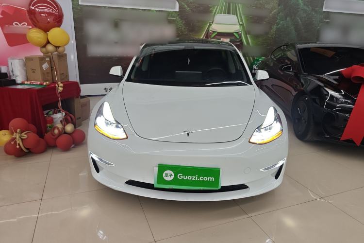 Used Tesla Model 3 2021 Revised Performance Version with All-Wheel Drive 3D1
