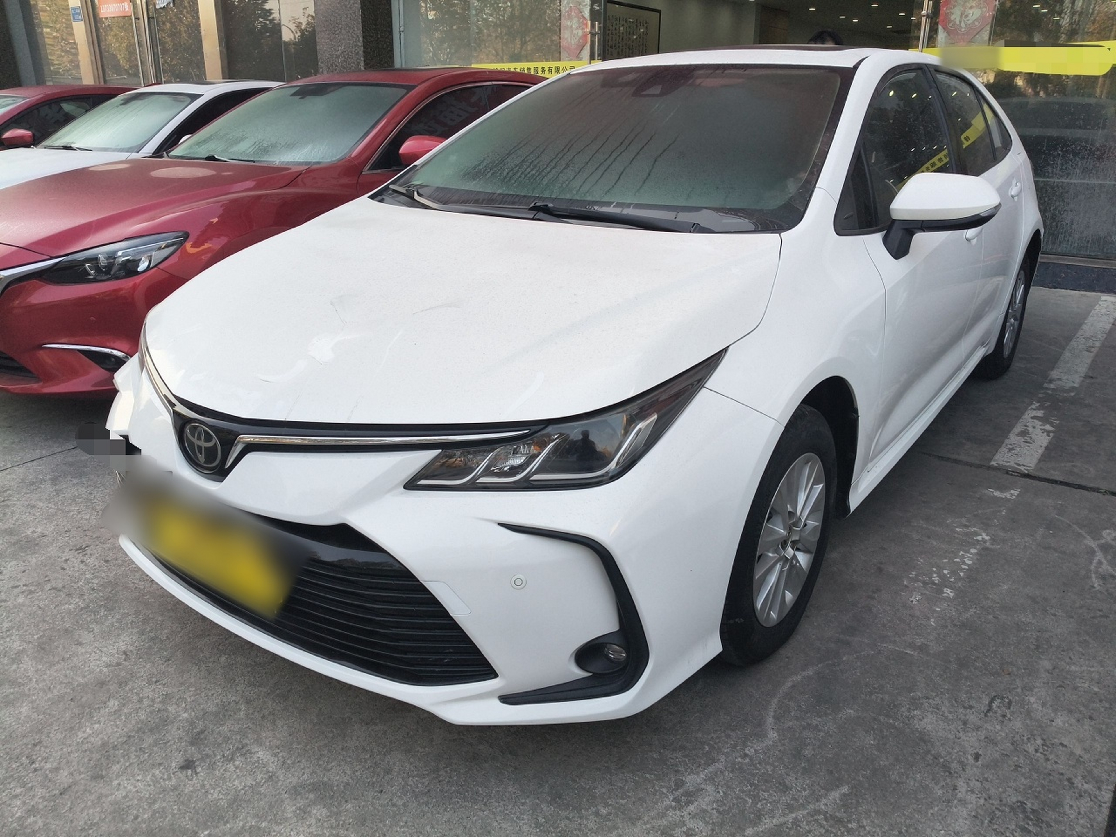 تحت مقدمة السيارة