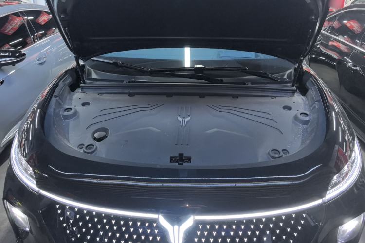 Used VOYAH COURAGE 2024 Four-Wheel Drive Global Edition
