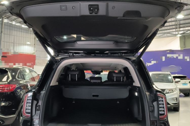 Used Haval DARGO 2022 2.0T DCT 4x4 Chinese Rural Dog Edition
