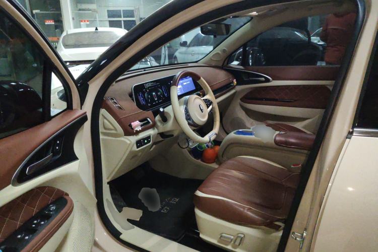 Used ORA Good Cat 2023 401 km Standard Range Prestige Version Lithium Iron Phosphate
