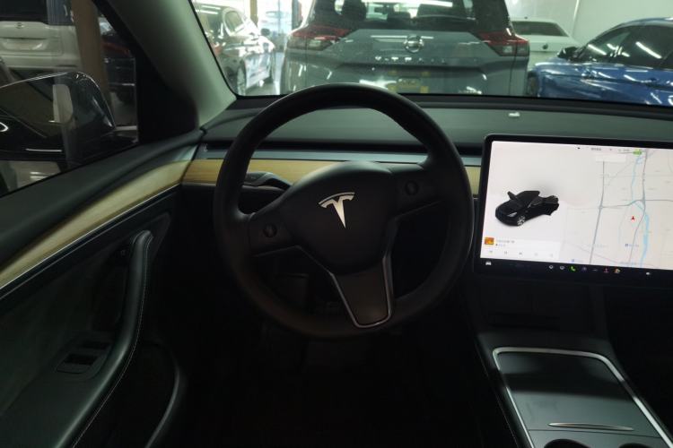 Used Tesla Model Y 2021 Standard Range Rear-Wheel Drive Version
