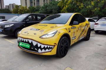 Used Tesla Model Y 2021 Standard Range Rear-Wheel Drive Version