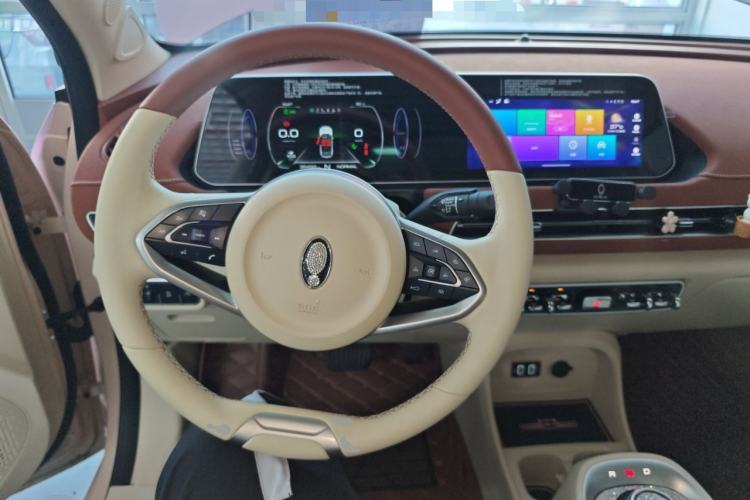 Used ORA Good Cat 2021 400km Standard Range Venus Edition Lithium-Ion Battery
