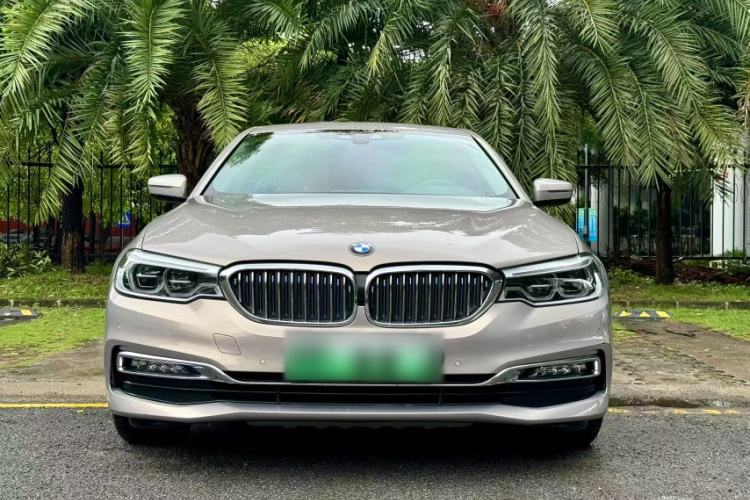 Used BMW 5 Series New Energy 2019 530Le Luxury Package
