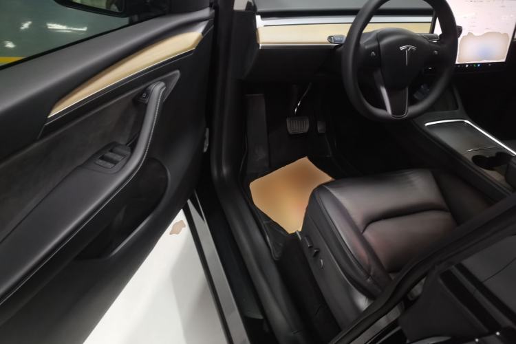 Used Tesla Model Y 2021 Standard Range Rear-Wheel Drive Version
