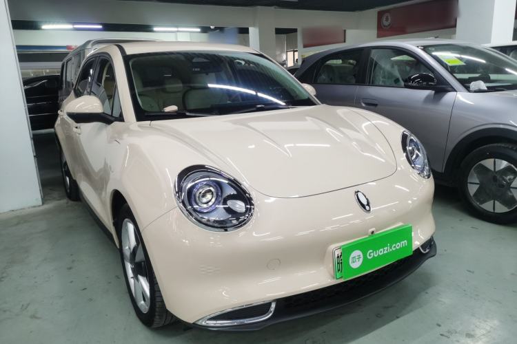 Used ORA Good Cat 2023 401 km Standard Range Luxury Version Lithium Iron Phosphate