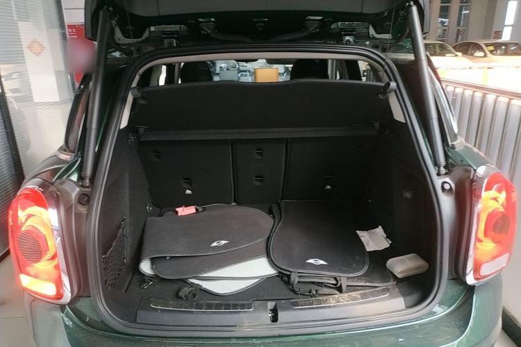 Used  Countryman 2018 2.0T COOPER S ALL4 Artist
