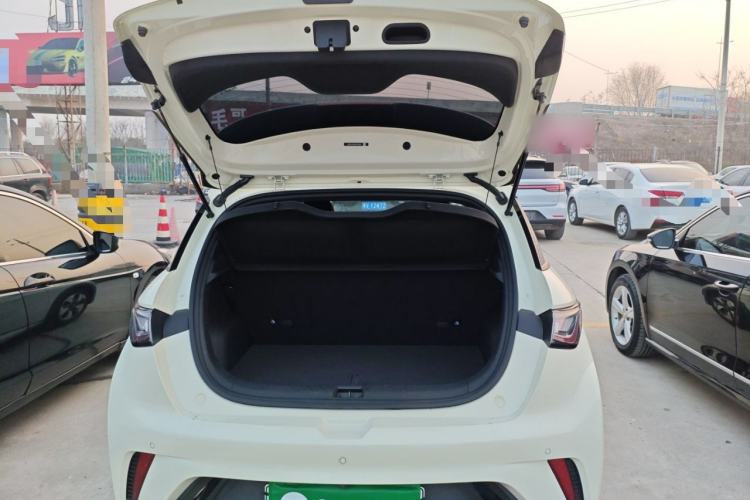 Used BYD Dolphin 2025 420km Free Edition
