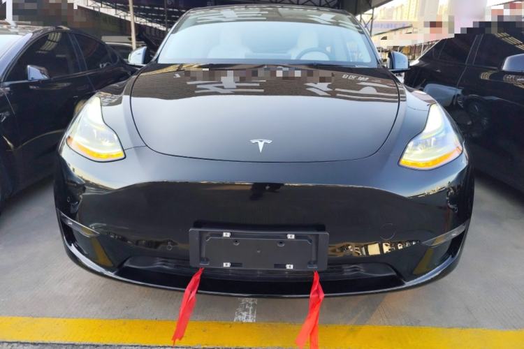 Used Tesla Model Y 2021 Standard Range Rear-Wheel Drive Version
