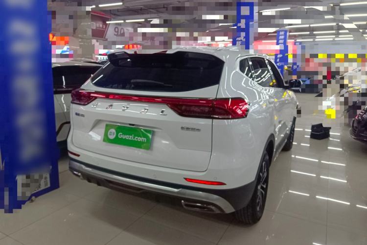 Used Haval H6 2023 National Trend Edition 1.5T Automatic Urban Version
