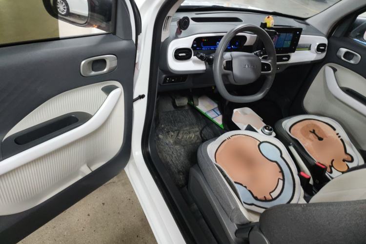 Used  Panda 2025 210 km – Yuanqi Bear