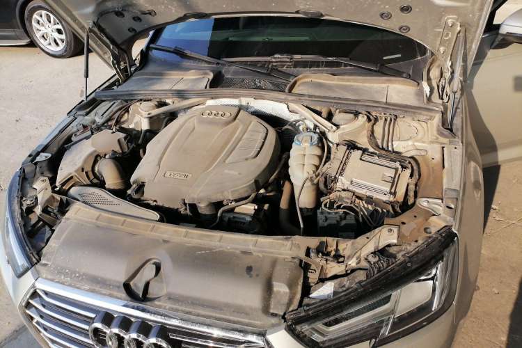 Used Audi A4L 2017 Plus 40 TFSI Fashion Model