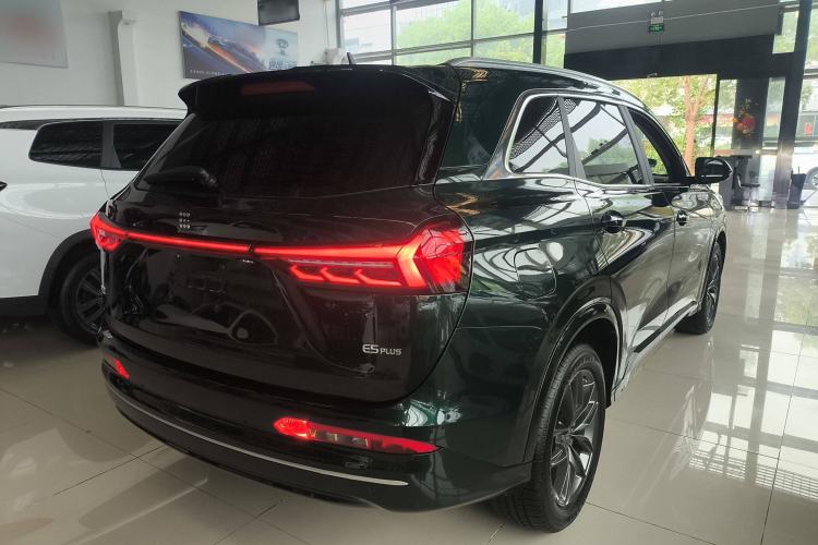 Used  E5 PLUS 2025 120km Standard Travel Custom Edition 5 Seats
