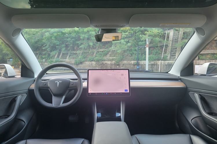 Used Tesla Model 3 2020 Standard Range Rear-Wheel Drive Upgraded Version
