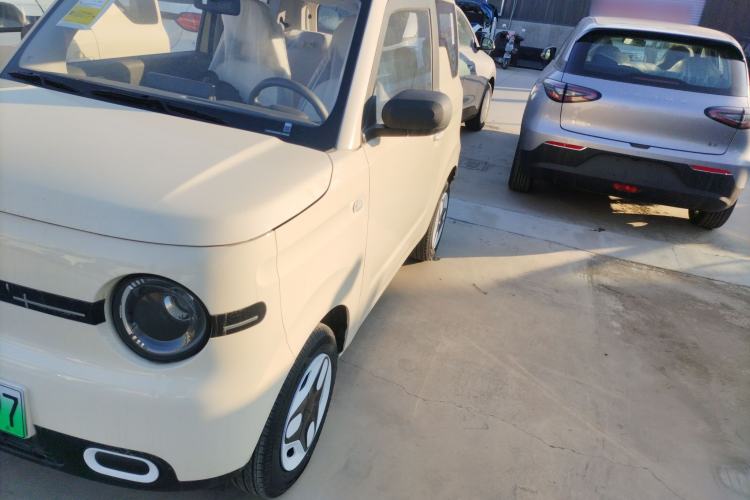 Used  Panda 2025 210 km – Yuanqi Bear
