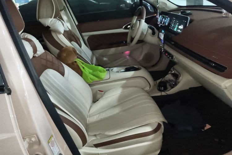 Used ORA Good Cat 2023 401 km Standard Range Luxury Version Lithium Iron Phosphate
