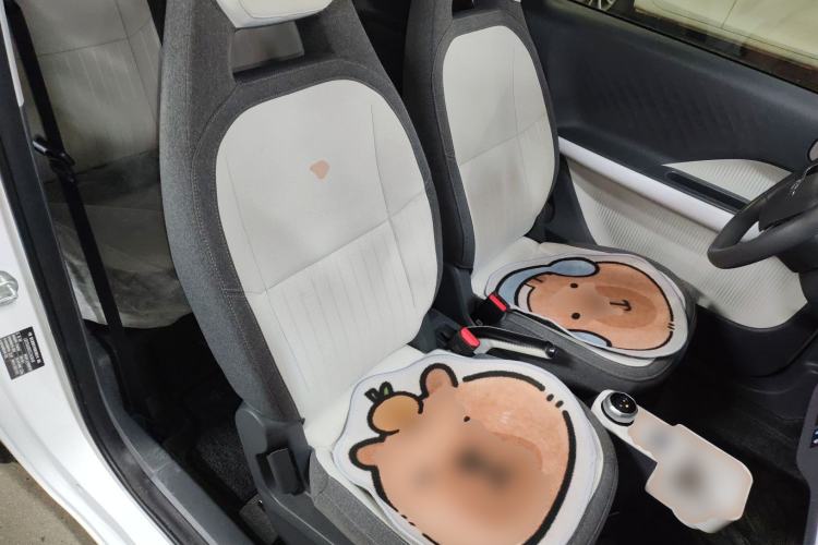 Used  Panda 2025 210 km – Yuanqi Bear