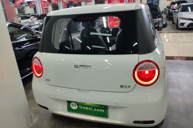 Used  Lumin 2025 205 km Xiangqin Version
