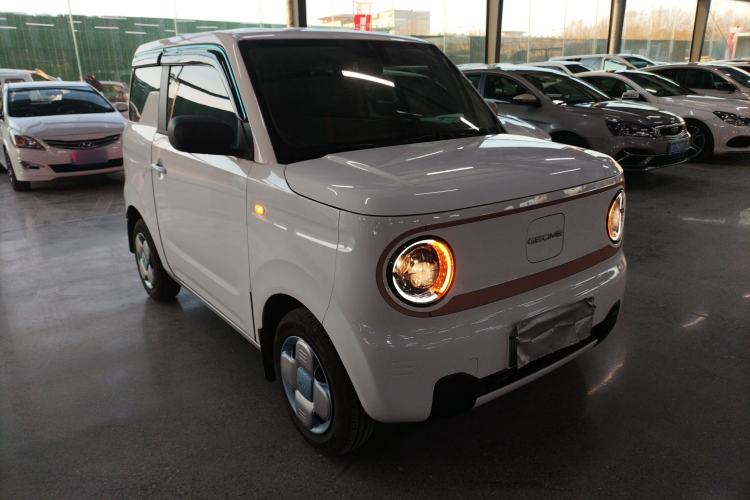 Used  Panda 2024 Panda Mini 200km Endurance Bear