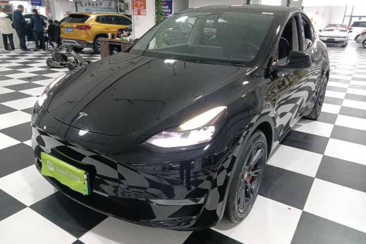 Used Tesla Model Y 2021 Standard Range Rear-Wheel Drive Version