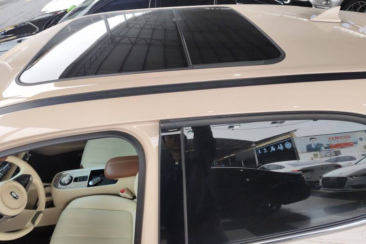 Used ORA Good Cat 2022 Morandi Edition 400km Standard Range Premium Version Lithium Iron Phosphate
