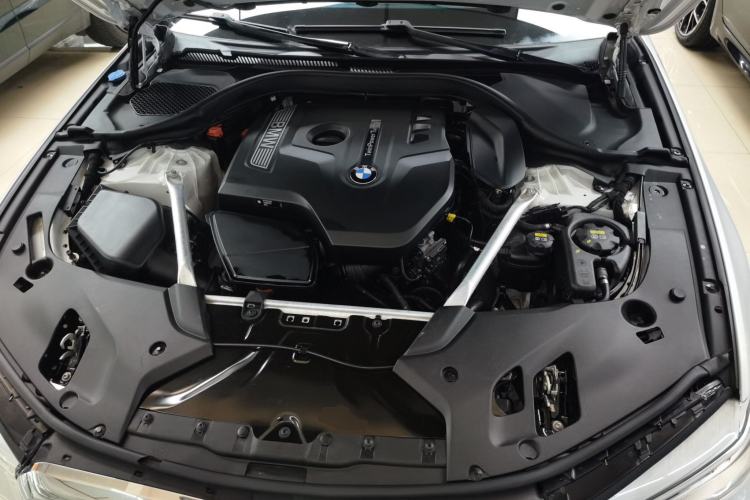 Used BMW 5 Series 2020 530Li Luxury Edition Premium Package
