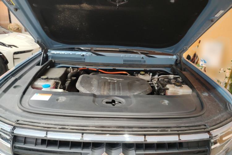 Used  Leopard 5 2023 Flagship Edition
