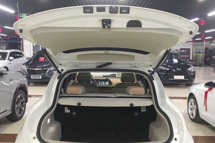 Used ORA Good Cat GT 2024 Mulan Edition 401 km Range Prestige Version 135 kW