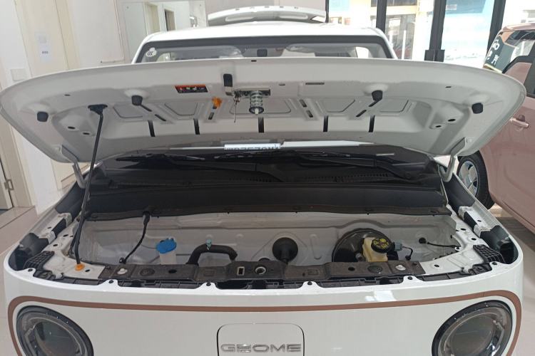 Used  Panda 2024 Panda Mini 200km Endurance Bear
