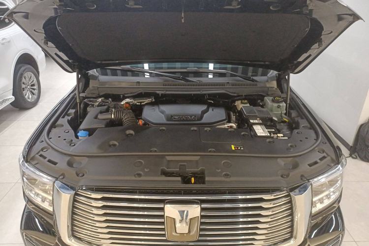 Used Tank 500 New Energy 2024 Hi4-T
