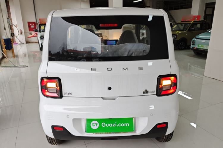 Used  Panda 2024 Panda Mini 200km Endurance Bear