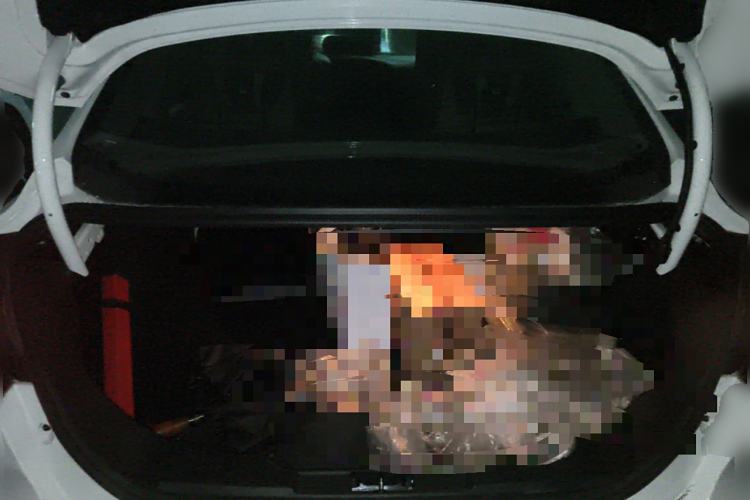 Used Ford Focus 2018 Sedan Classic 1.6L Automatic Trendy SmartDrive Edition