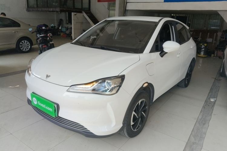 Used NETA V 2021 Long-Range Entertainment Edition Upgrade Model