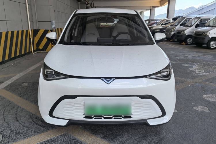 Used Cowin October 2025 Mate 300km Surfing Edition