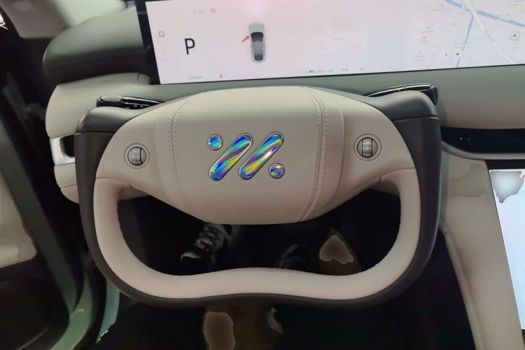 Used  LS6 2023 Max Standard Edition
