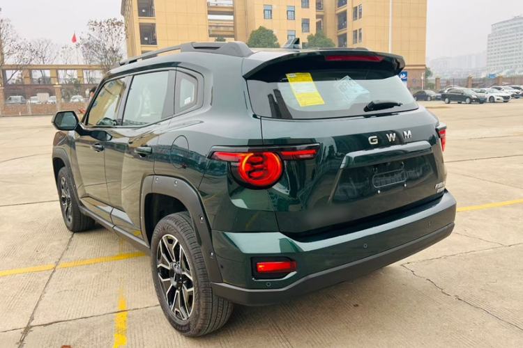 Used Haval H Dog New Energy 
