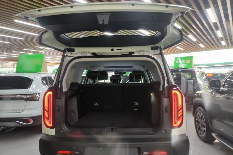 Used  BJ30 2024 1.5T Light Wilderness Pro Edition