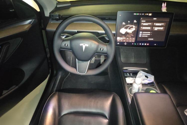 Used Tesla Model Y 2022 Rear-Wheel-Drive Version