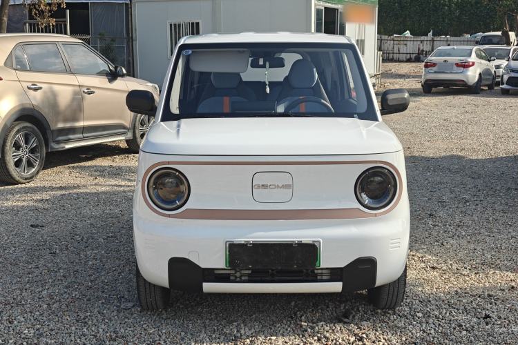 Used  Panda 2024 Panda Mini 200km Endurance Bear
