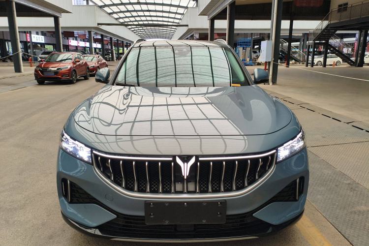 Used VOYAH FREE 2021 Four-Wheel Drive Standard Range-Extended Exclusive Luxury Package
