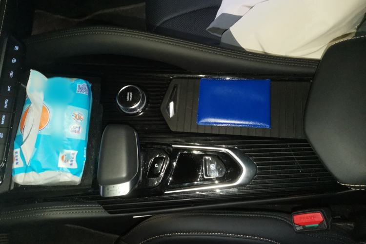 Used Geely Auto Monjaro L 2024 2.0TD DCT EVO Two-Wheel Drive Long-Range Version
