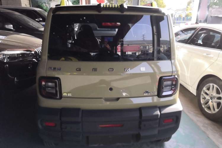 Used  Panda 2024 200km Panda Rider
