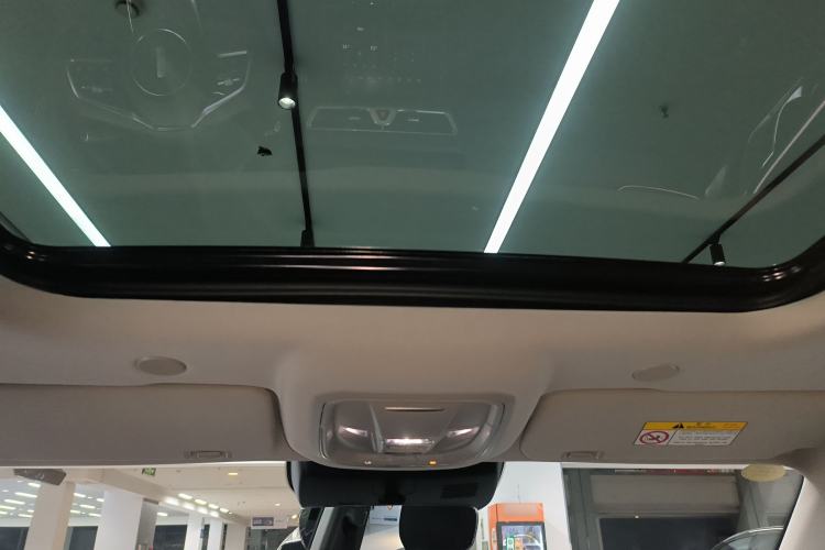 Used Wey Mocha New Energy 2024 Hi4 Four-Wheel Drive Long-Range Version
