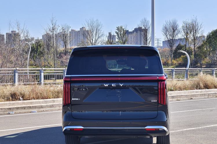 Used Wey Gaoshan 2023 Four-Wheel-Drive Executive Extended Version