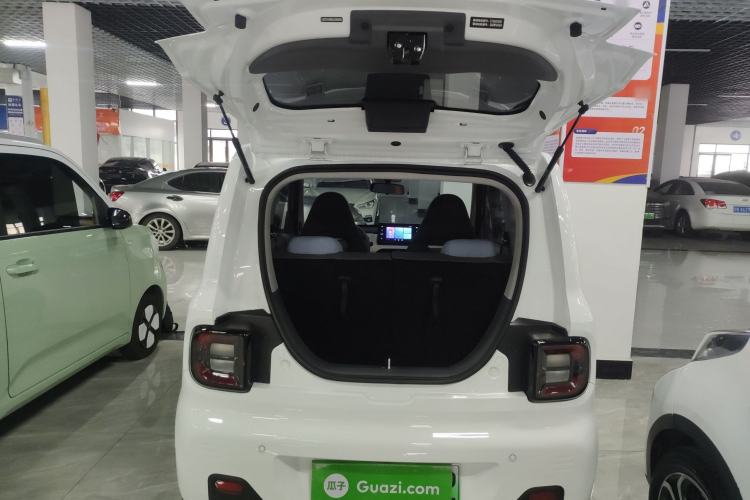 Used  Panda 2024 Panda Mini 200km Endurance Bear
