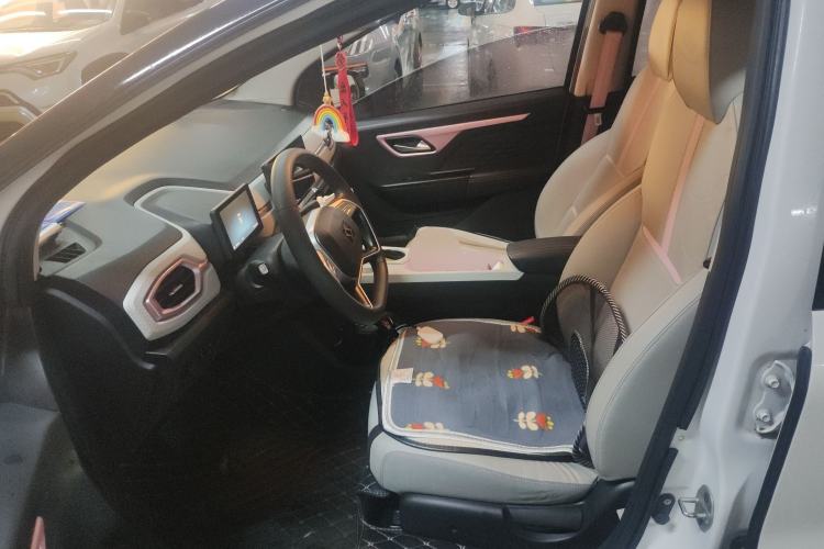 Used SOL E10X 2022 Flower Fairy Design Four-Leaf Clover
