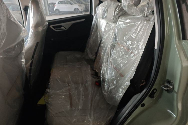 Used SOL E10X 2022 Flower Fairy Design Four-Leaf Clover